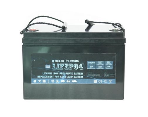 φορητό Lifepo4 λίθιο BMS μπαταριών 24V 42AH για την αντικατάσταση του οξέος μολύβδου